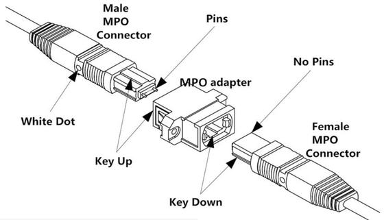 La correction de connecteur d'OM3/OM4 MPO attachent 12 le câble du câble 8/12/24F MTP MPO de tronc de la fibre MPO