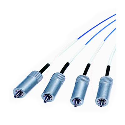 Instruments à fibre optique d'électrophorèse capillaire