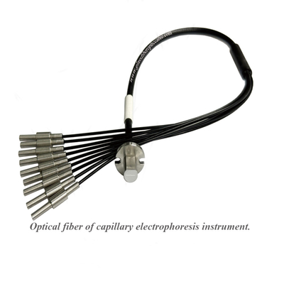 Instruments à fibre optique d'électrophorèse capillaire